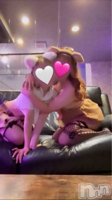 ĮС㤭PRESTIGE VIP(ץ쥹ơӥå) ǵޤ69̥֥֤Żȿ䤷