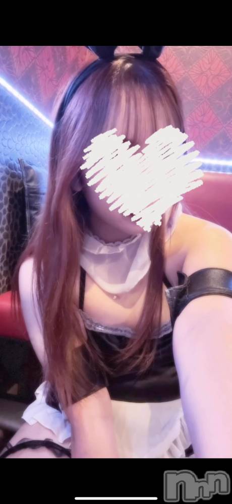 ĮС㤭PRESTIGE VIP(ץ쥹ơӥå) ϪߤĤ531̥֥֤ߤߡ