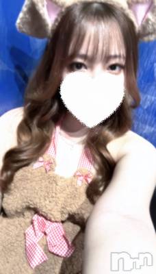 ĮС㤭PRESTIGE VIP(ץ쥹ơӥå) ϪߤĤ74̥֥🐶🐾
