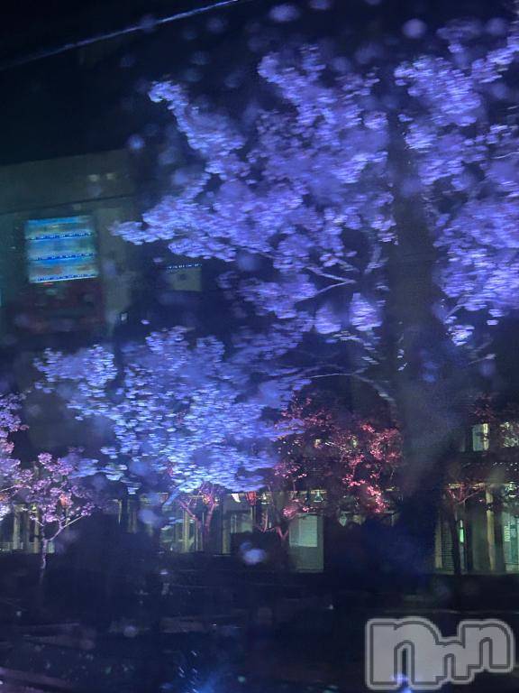 上越デリヘルBLUE BIRD上越店(ブルーバード上越店)らん(21)の2025年4月14日写メブログ「4日目終了🥺」