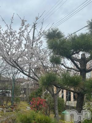 上越デリヘル BLUE BIRD上越店(ブルーバード上越店) らん(21)の4月10日写メブログ「出勤1日目💖」