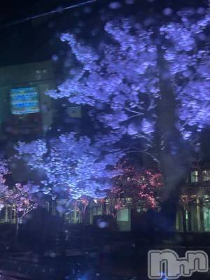 上越デリヘル BLUE BIRD上越店(ブルーバード上越店) らん(21)の4月14日写メブログ「4日目終了🥺」