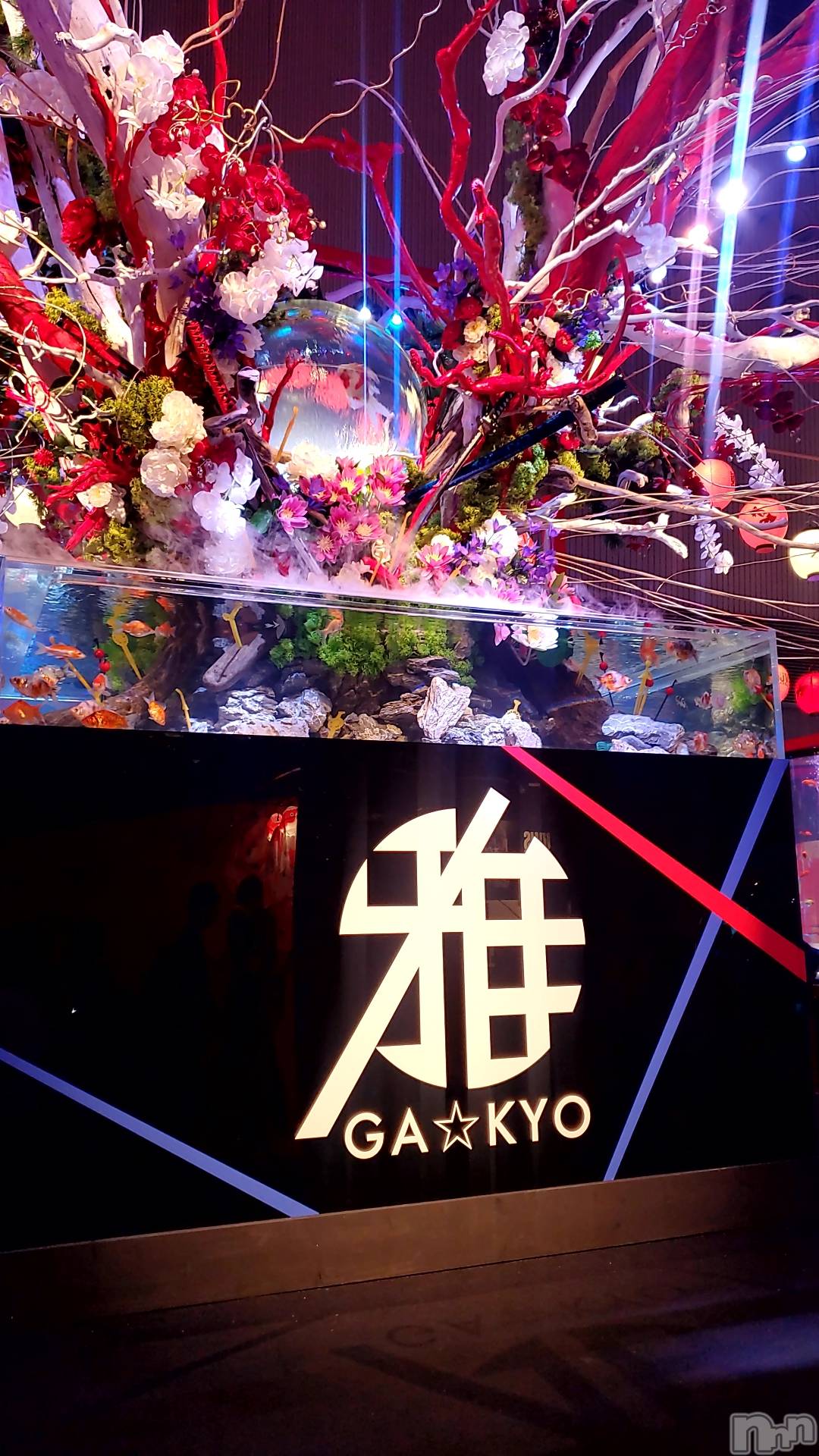 Х顦ֽϽХ Lips(奯祭Хåץ) 2025ǯ814̥֥֥ꥦ