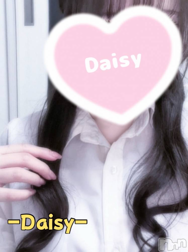 Ĺ襳ѥ˥󥯥Ĺѥ˥-Daisy- ǥ (Ĺȯ 㸩)(ʥѥ˥ǥ) Ȥ417ֽ̥֥ޤ🌷