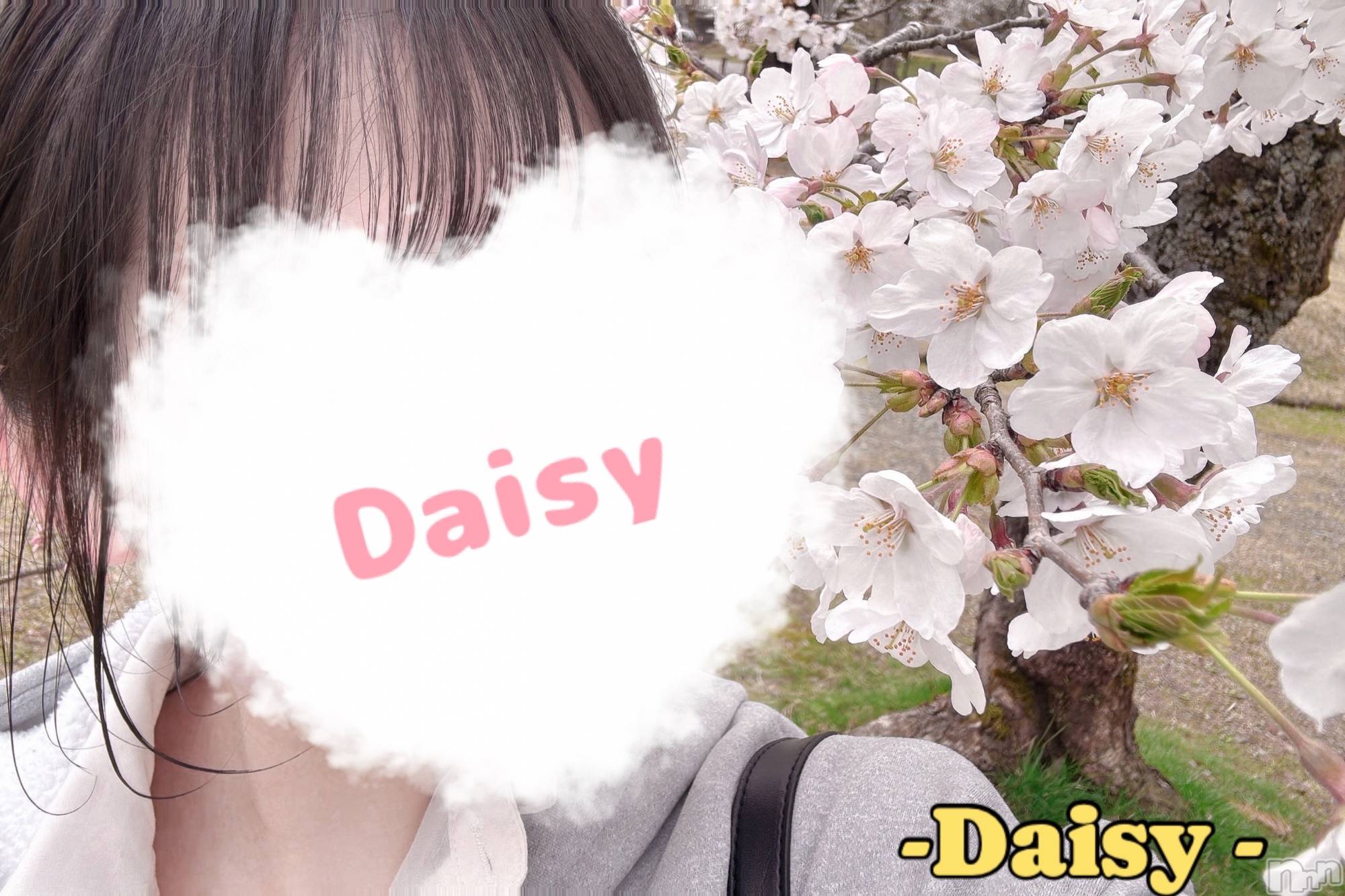 Ĺ襳ѥ˥󥯥Ĺѥ˥-Daisy- ǥ (Ĺȯ 㸩)(ʥѥ˥ǥ) 2025ǯ418ָ̥֥֤🌸✨