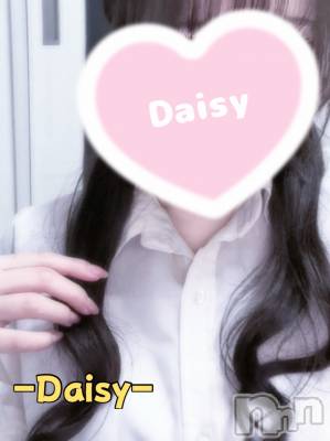 Ĺ襳ѥ˥󥯥Ĺѥ˥-Daisy- ǥ (Ĺȯ 㸩)(ʥѥ˥ǥ) Ȥ(20)417ֽ̥֥ޤ🌷