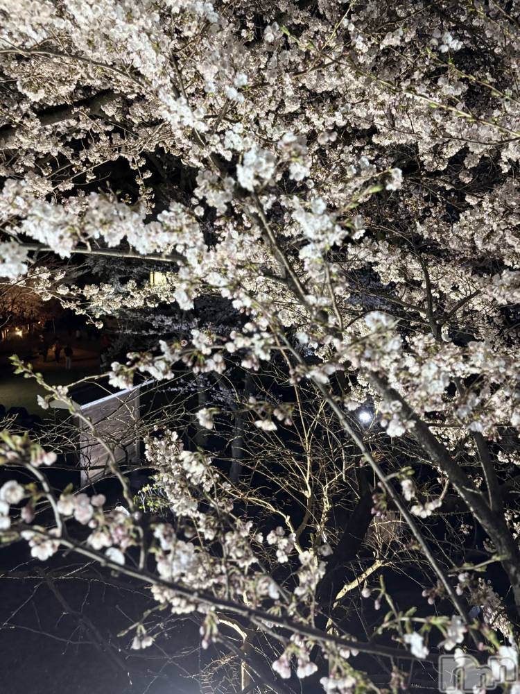 ��ˬ����Х��顦�����CLUB K����Prologue��(����֥���) ���ߤ�4��17���̥�֥�����🩵��