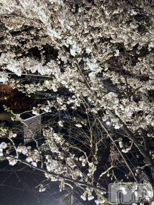 ��ˬ����Х��顦�����CLUB K����Prologue��(����֥���) ����(24)��4��17���̥�֥�����🩵��