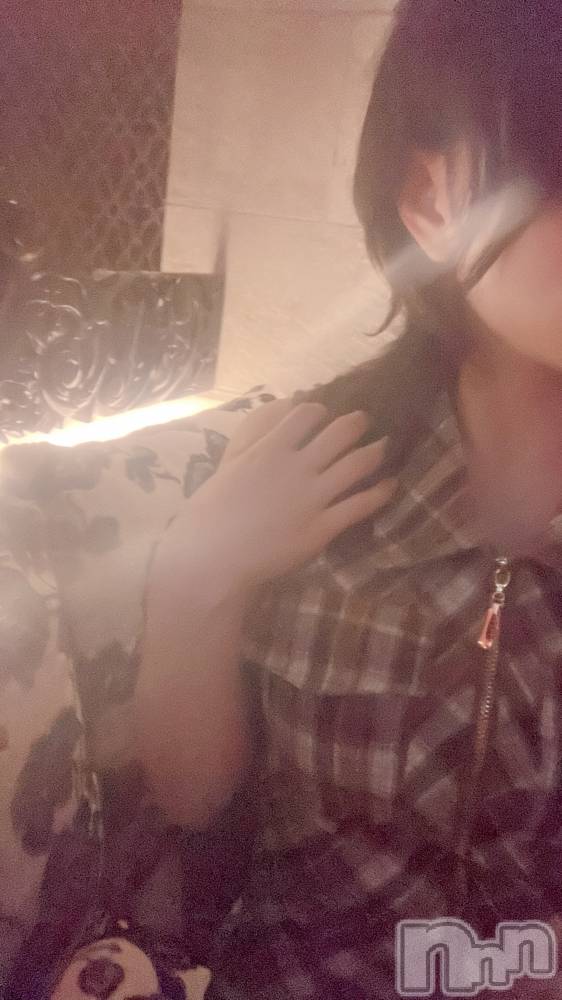 ��Ʋ����Х��顦�����151-A(������������) �����ʤ�1��24���̥�֥����������ж����