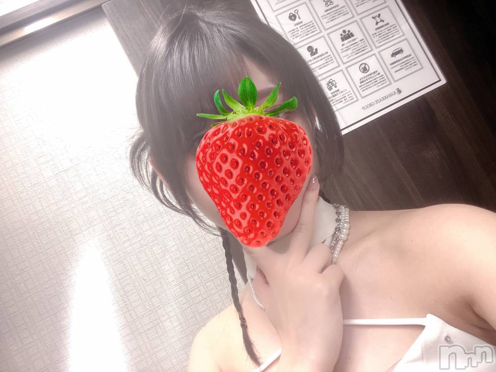 ��Ʋ����Х��顦�����151-A(������������) �����ʤ�4��5���̥�֥����������ж���🦖⸒⸒��