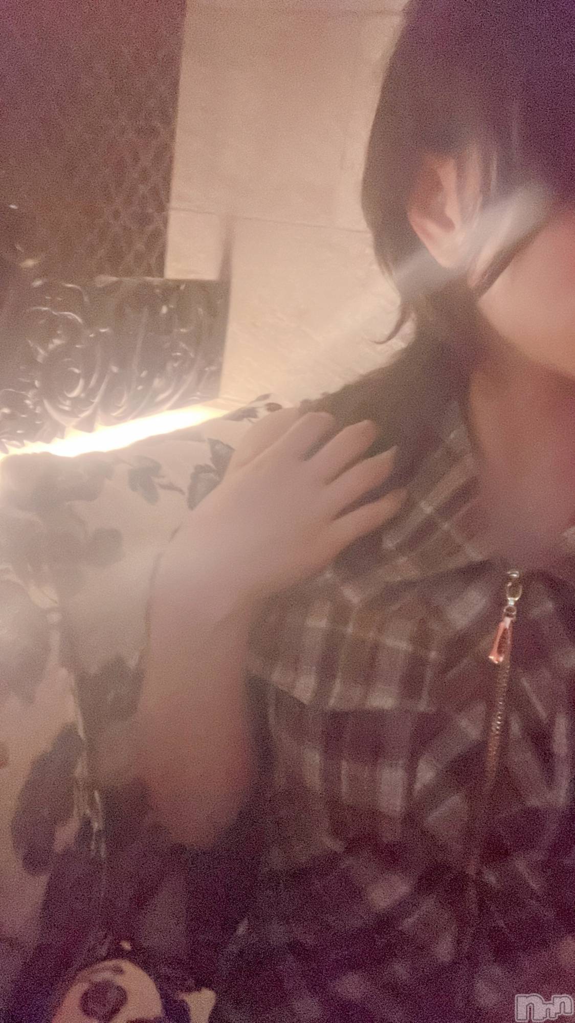 ��Ʋ����Х��顦�����151-A(������������) ��2026ǯ1��24���̥�֥����������ж����