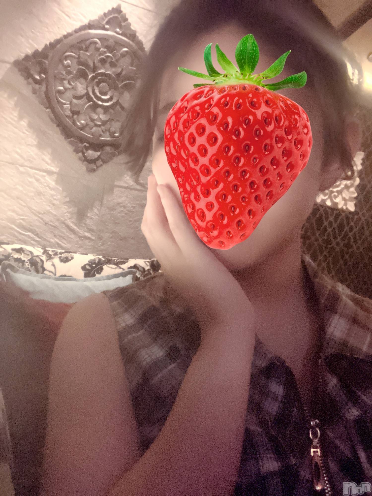 ��Ʋ����Х��顦�����151-A(������������) ��2026ǯ3��11���̥�֥����֤���Ф�ϡ���