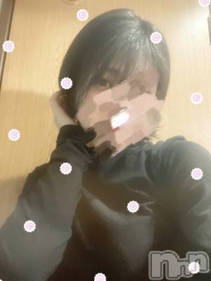 ƲХ顦151-A() ʤ513̥֥֤ʤǤ