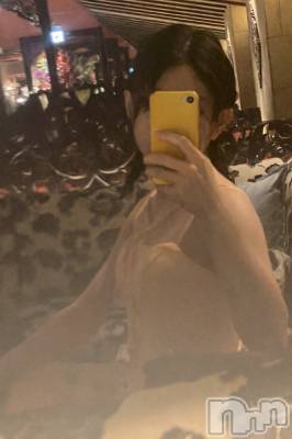 ��Ʋ����Х��顦�����151-A(������������) �����ʤ�1��25���̥�֥����������ж����