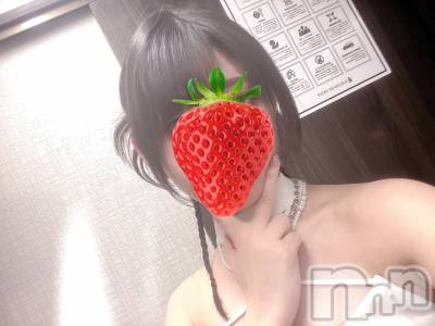 ��Ʋ����Х��顦�����151-A(������������) �����ʤ�4��5���̥�֥����������ж���🦖⸒⸒��