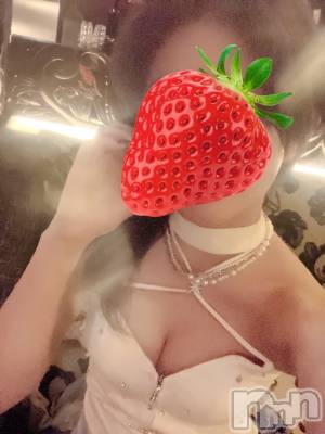 ��Ʋ����Х��顦�����151-A(������������) �����ʤ�4��10���̥�֥����֤���Ф�ϡ�🦖⸒⸒��