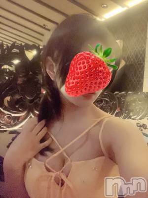 ��Ʋ����Х��顦�����151-A(������������) �����ʤ�4��19���̥�֥����֤���Ф��🦖��