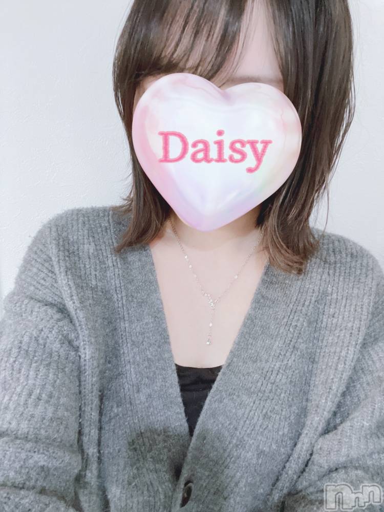 Ĺ襳ѥ˥󥯥Ĺѥ˥-Daisy- ǥ (Ĺȯ 㸩)(ʥѥ˥ǥ) 󤫡襤Ϥ52̥֥5!!