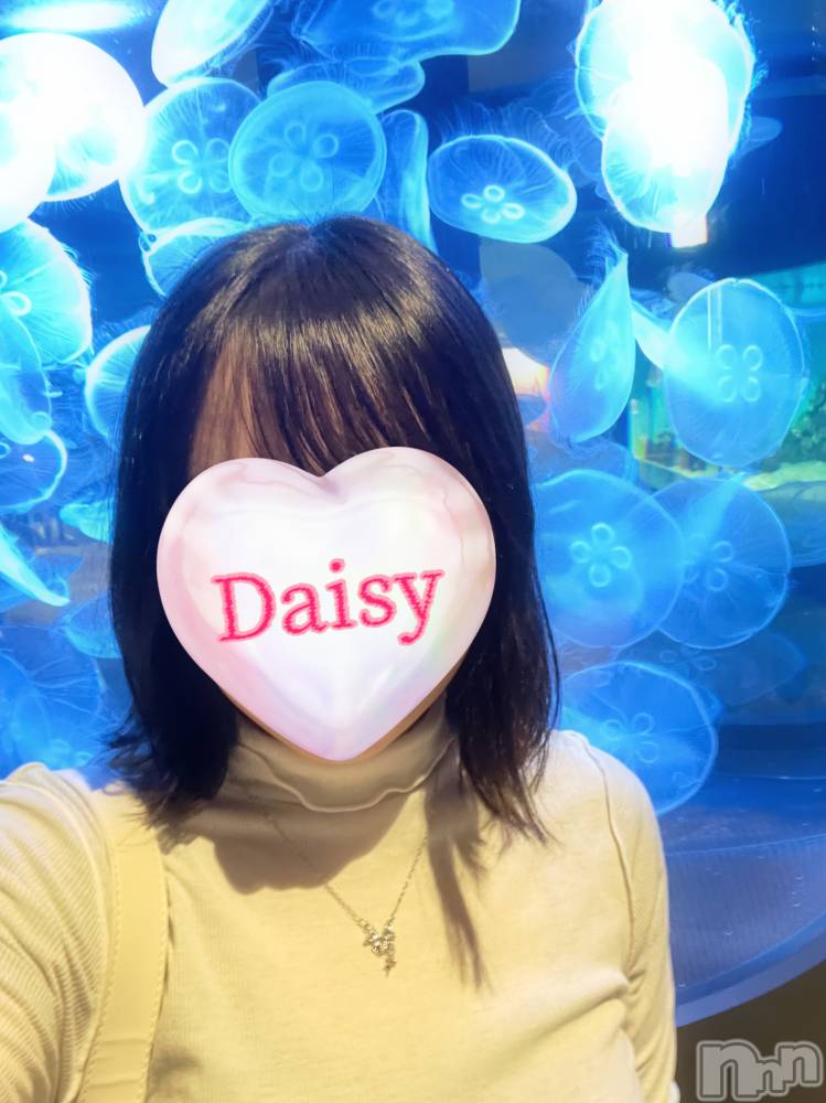 Ĺ襳ѥ˥󥯥Ĺѥ˥-Daisy- ǥ (Ĺȯ 㸩)(ʥѥ˥ǥ) 󤫡襤Ϥ56ֿ̥֥²ۤƤ🪼🐬