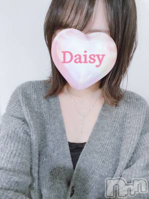 Ĺ襳ѥ˥󥯥Ĺѥ˥-Daisy- ǥ (Ĺȯ 㸩)(ʥѥ˥ǥ) 󤫡襤(22)52̥֥5!!