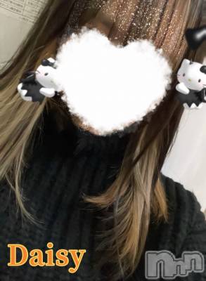 Ĺ襳ѥ˥󥯥Ĺѥ˥-Daisy- ǥ (Ĺȯ 㸩)(ʥѥ˥ǥ) 󤫡襤(22)58ֲ̥֥Ƥ衼