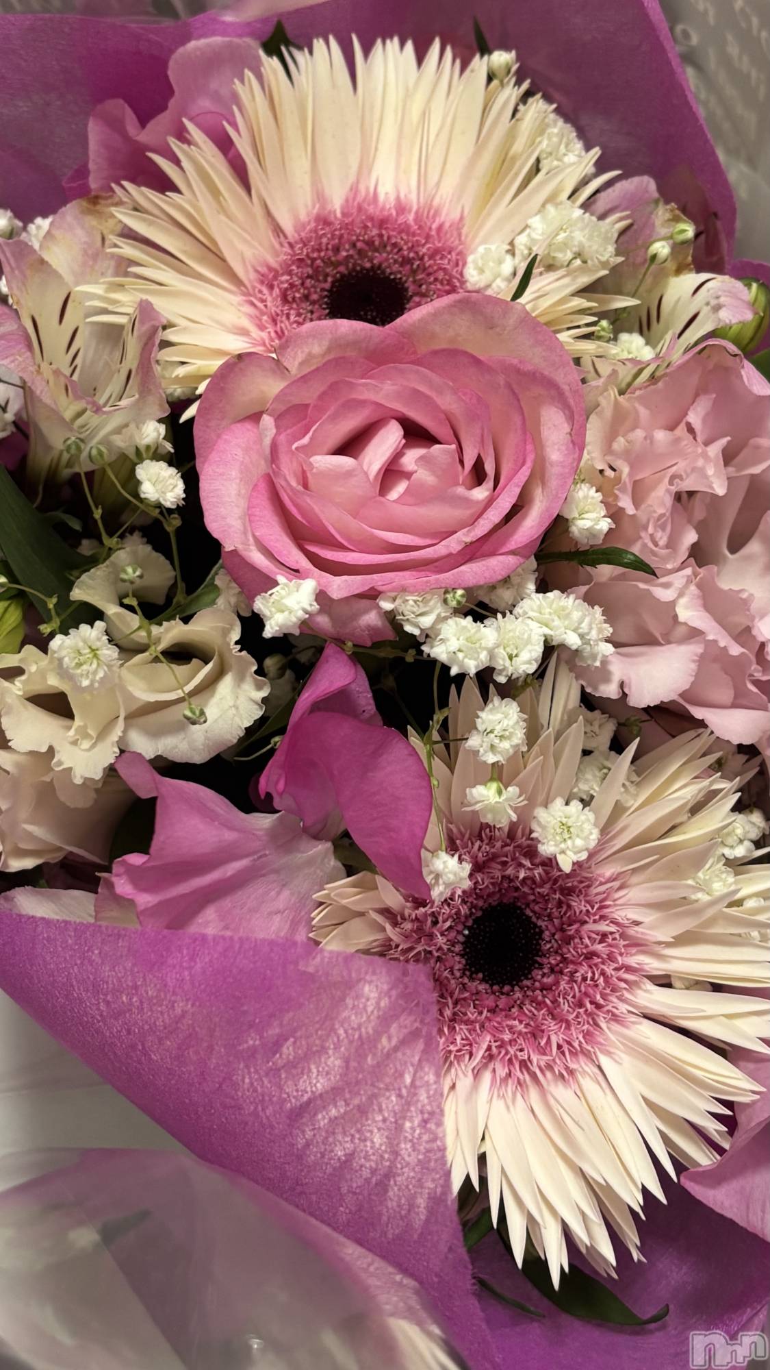 ƲХ顦CLUBS(֥) 2025ǯ1212ֽ̥֥жФǤ✧.