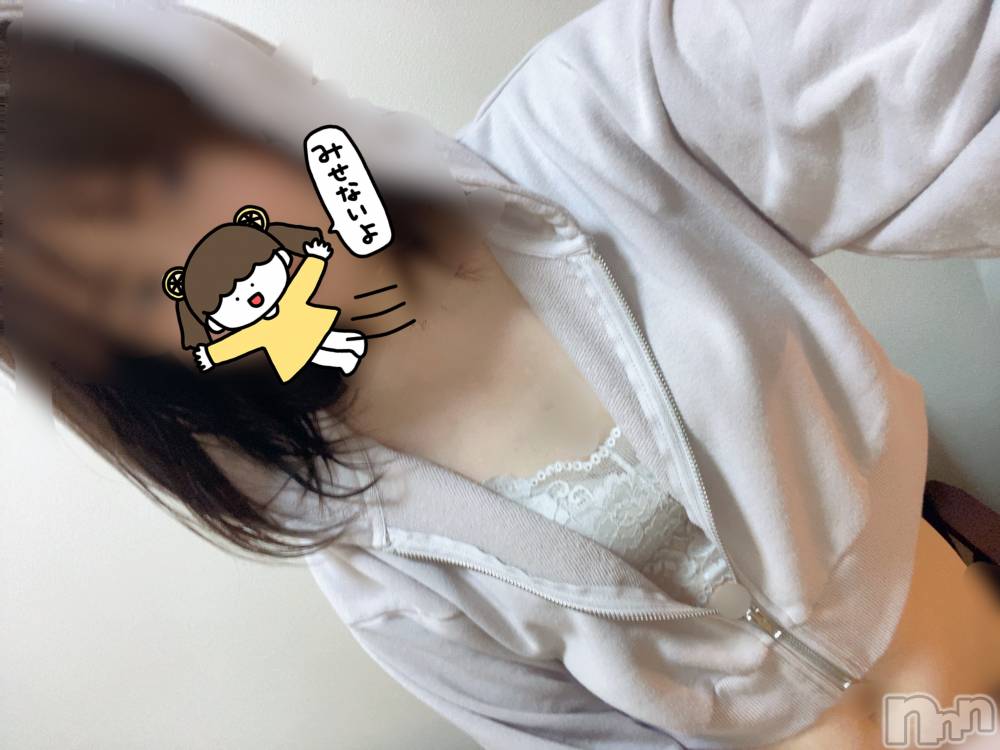 㡦ȯĥꥢ󥺥Ƥޤơ(ޥƥåȥ˥) ʤ626̥֥֤
