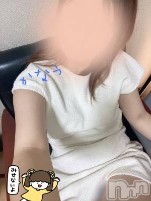 㡦ȯĥꥢ󥺥Ƥޤơ(ޥƥåȥ˥) ʤ(29)1018̥֥֤ޤͺ