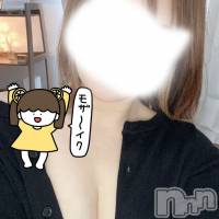㡦ȯĥꥢ󥺥 ޤơ(ޥƥåȥ˥) ʤβ(2)
