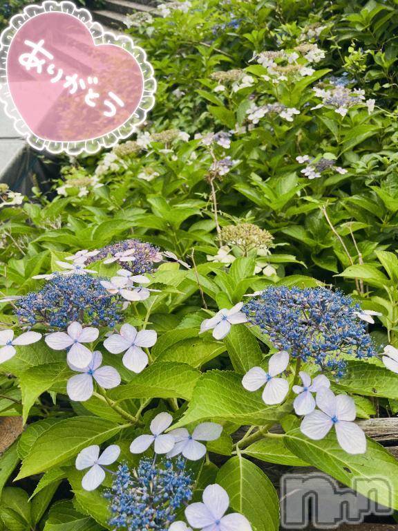 新潟人妻デリヘル熟女の風俗 最終章(ジュクジョノフウゾクサイシュウショウ)あお(35)の2025年8月20日写メブログ「いっぱいありがとう」