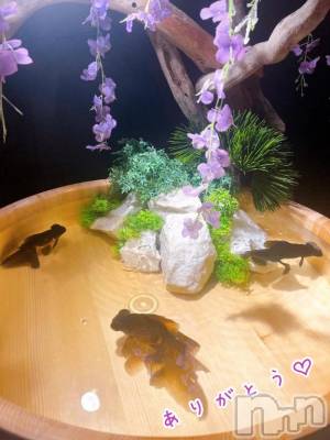 新潟人妻デリヘル 熟女の風俗 最終章(ジュクジョノフウゾクサイシュウショウ) あお(35)の9月3日写メブログ「一期一会」