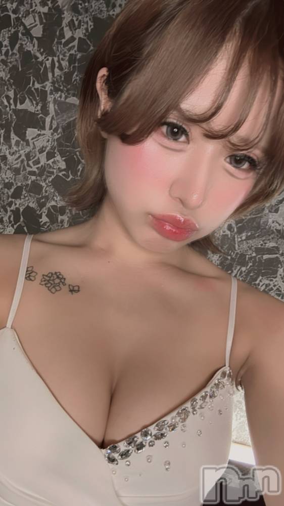 ĮХ顦FOXXY(ե) Τ516̥֥365