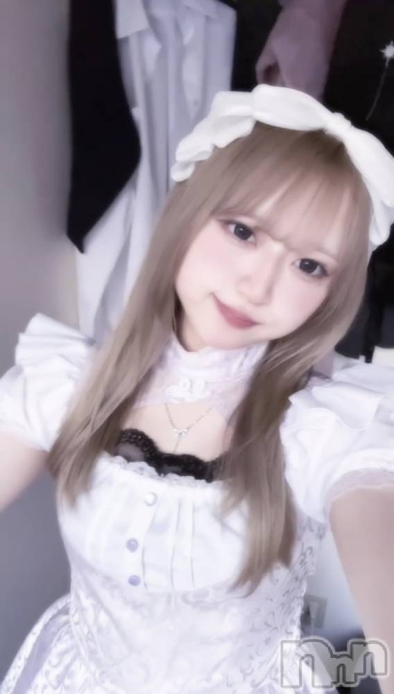 ĮåȥСᥤɥեLINK(ᥤɥե) 椦521̥֥ġ