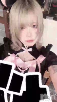 �����ץ줷��🩶