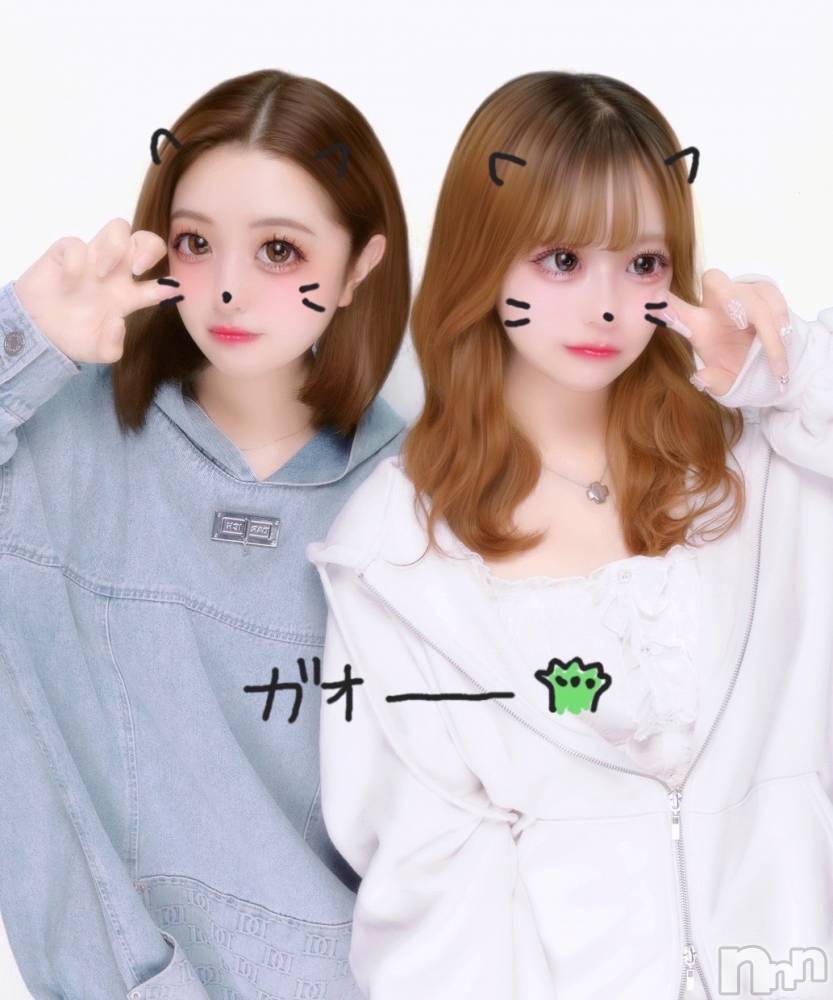 ʥå륺СJEUNESSE(ͥ) Fuu527̥֥֤ʤ🐱