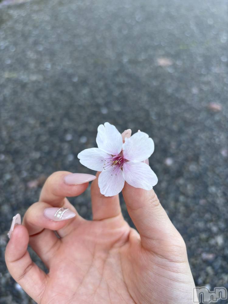 ����������ʥå��������륺�С�JEUNESSE(����ͥ�) Fuu��4��13���̥�֥����ֺ�����Ƥ���🌸��