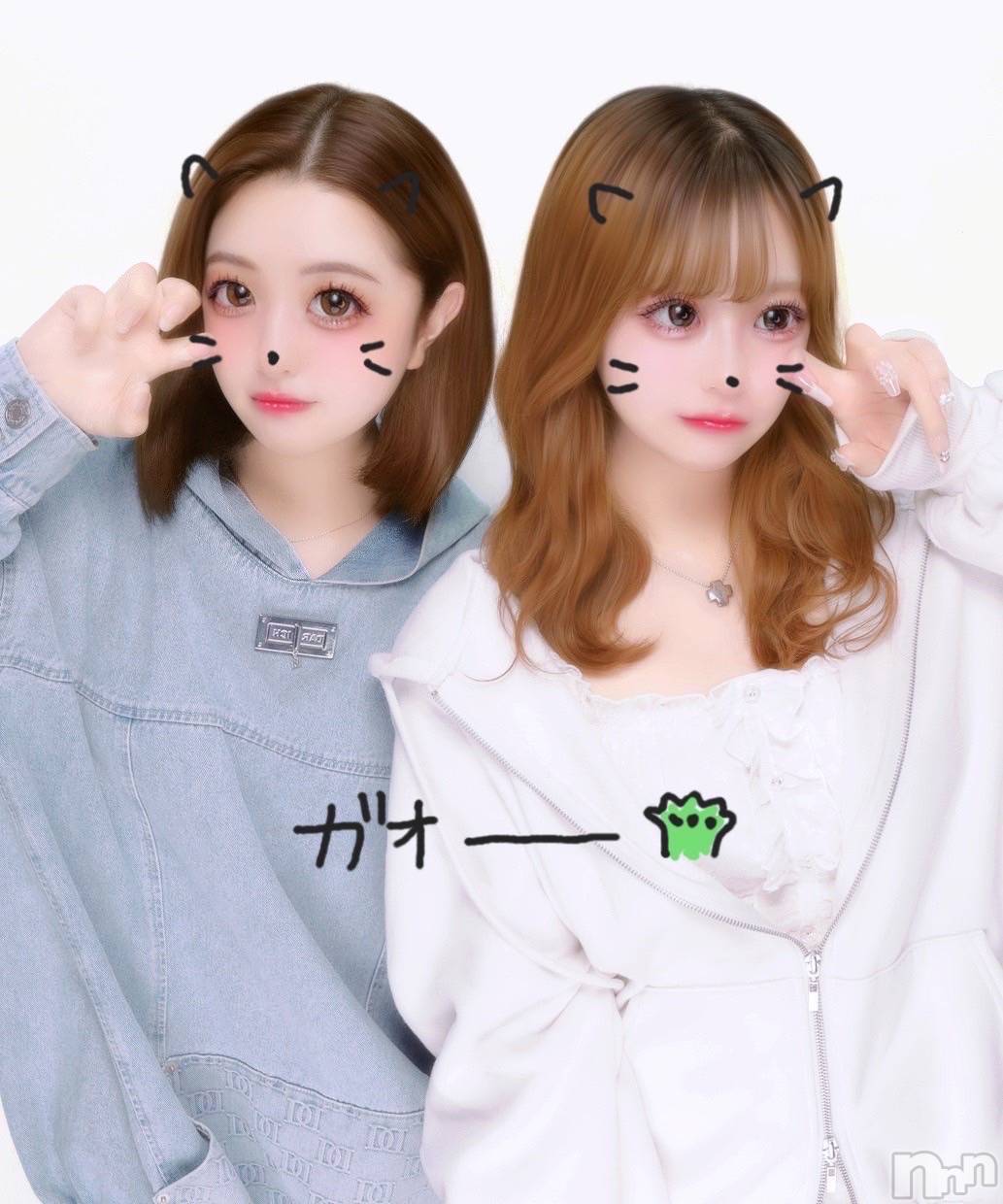 ʥå륺СJEUNESSE(ͥ) 2025ǯ527̥֥֤ʤ🐱