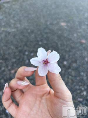 ����������ʥå��������륺�С�JEUNESSE(����ͥ�) Fuu��4��13���̥�֥����ֺ�����Ƥ���🌸��