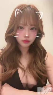 ������������(˶' ᵕ ' ˶)