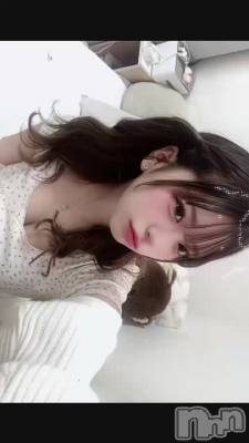 ïʤˤ㡼^._.^