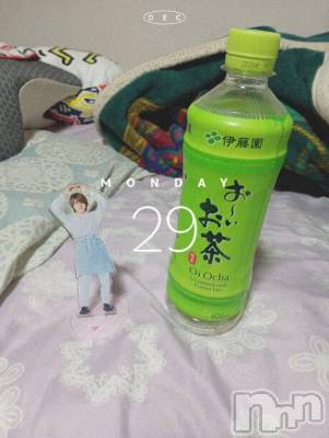 長岡デリヘル 奥様特急 長岡店(オクサマトッキュウナガオカテン) ありす(45)の12月29日写メブログ「２９日」