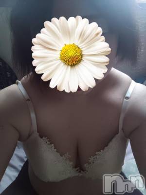 長岡デリヘル 奥様特急 長岡店(オクサマトッキュウナガオカテン) ありす(45)の12月30日写メブログ「夕方」