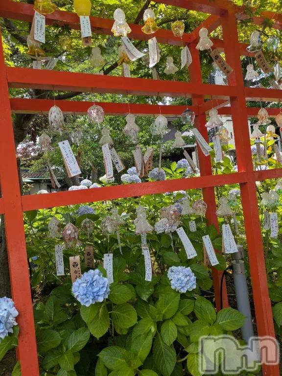 新潟デリヘル新潟市鳥屋野潟ちゃんこ(ニイガタシトヤノガタチャンコ) ゆう(42)の7月14日写メブログ「久しぶりの・・」