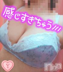 新潟デリヘル新潟市鳥屋野潟ちゃんこ(ニイガタシトヤノガタチャンコ) ゆう(42)の3月5日写メブログ「さわって」