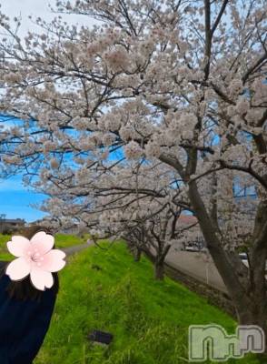 新潟デリヘル 新潟市鳥屋野潟ちゃんこ(ニイガタシトヤノガタチャンコ) ゆう(42)の4月9日写メブログ「あともう少しだけ」