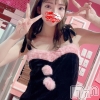 ニシン(24)