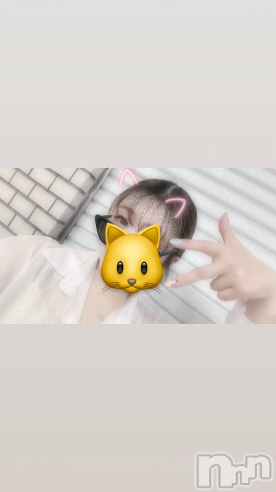 Įʥå륺С&饪BAR  L  STYLE(С륹) ޻Ф522̥֥🍎🍎