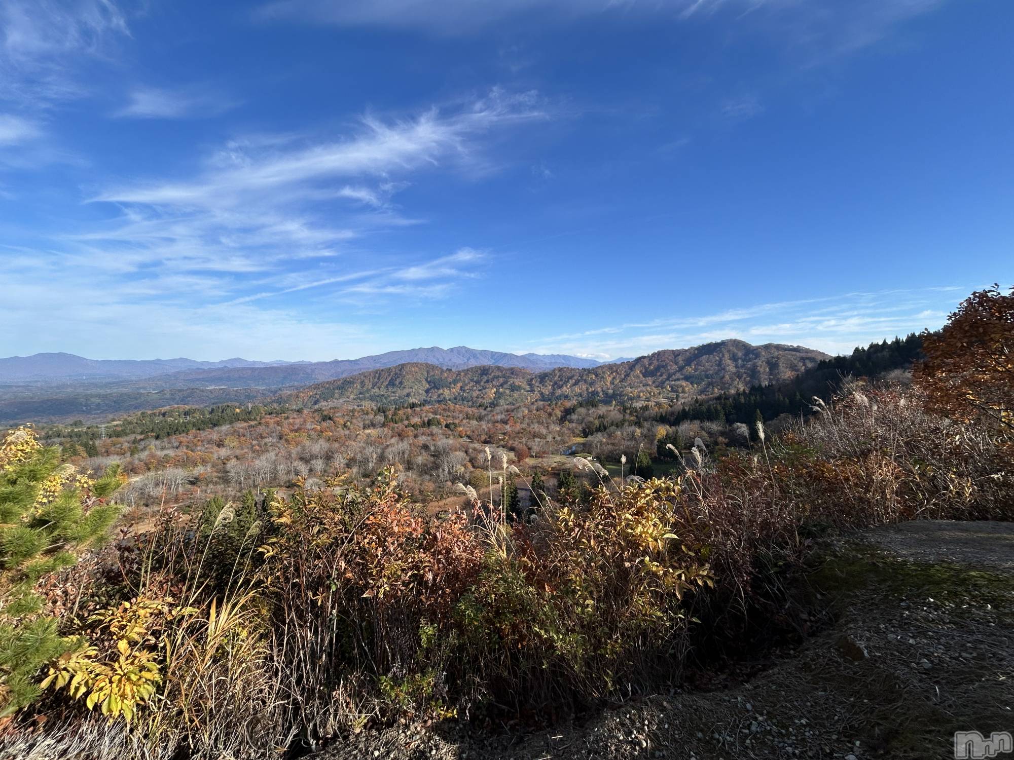 Įʥå륺С&饪BAR  L  STYLE(С륹) 2025ǯ1124̥֥🙃🙃🙃