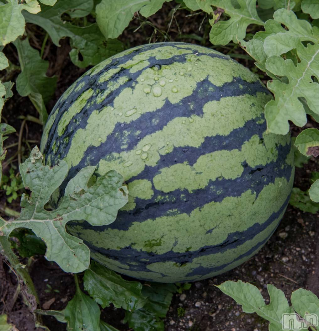 長岡デリヘル長岡人妻市(ナガオカヒトヅマイチ)あんな★おっとりした雰囲気の人妻(38)の2025年7月26日写メブログ「暑すぎる💦」