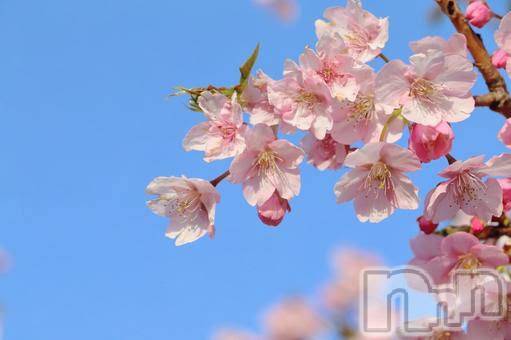 長岡デリヘル長岡人妻市(ナガオカヒトヅマイチ)あんな★おっとりした雰囲気の人妻(38)の2026年3月28日写メブログ「久しぶりの土曜日」